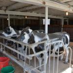 2017OTRA-1_352 (August 24, 2017)